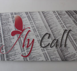 FlyCall - Call & Contact center